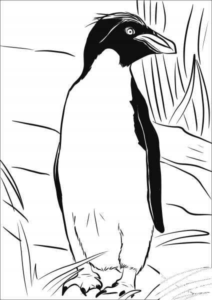 Macaroni Penguin coloring page image