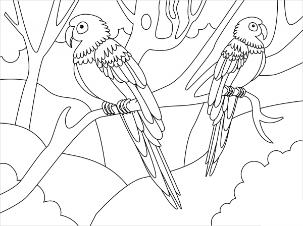 Macaw coloring page image
