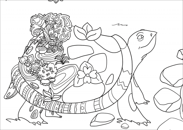 Magic Turtle coloring page image