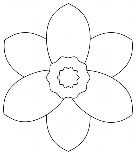Magnolia coloring page image