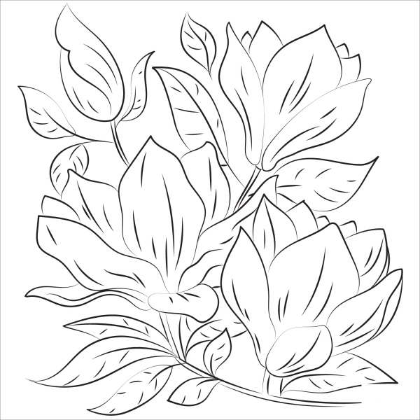 Magnolia coloring page image