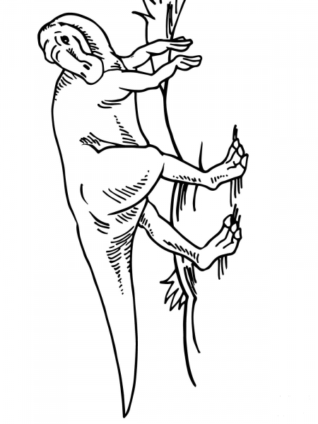 Maiasaura Duck Billed Dinosaur coloring page image