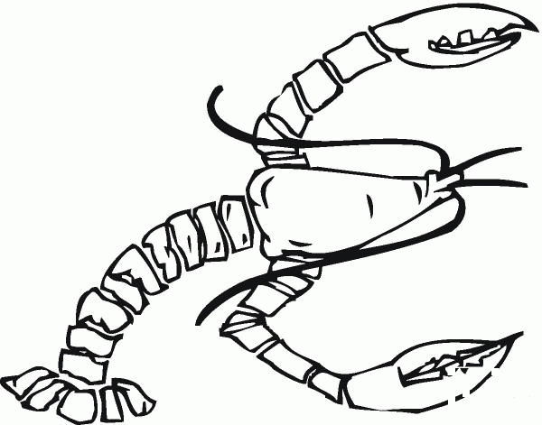 Maine lobster coloring page image