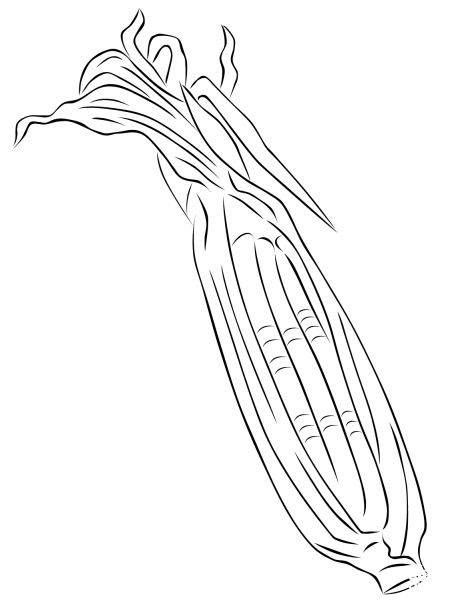 Maize coloring page image