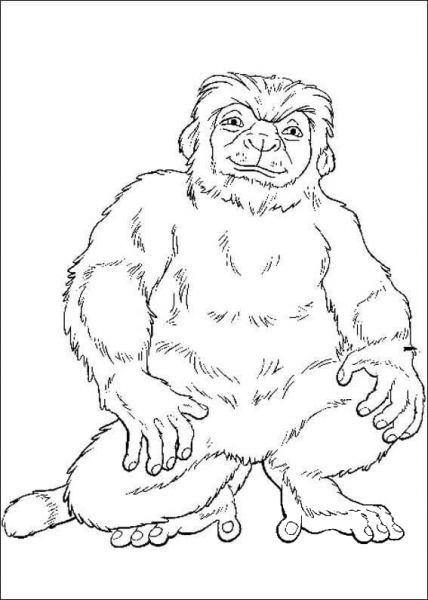 Male Monkey  coloring page image