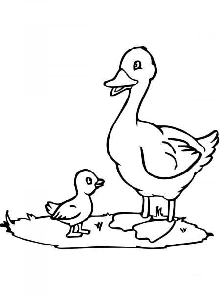 Mama Duck and Duckling coloring page image