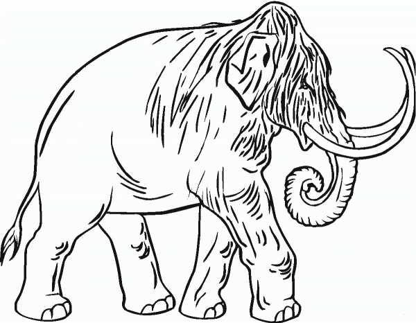 Mammoth 10 coloring page image