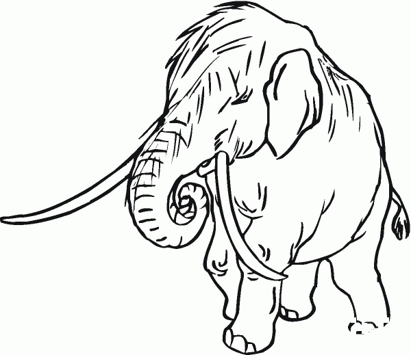 Mammoth baby coloring page image
