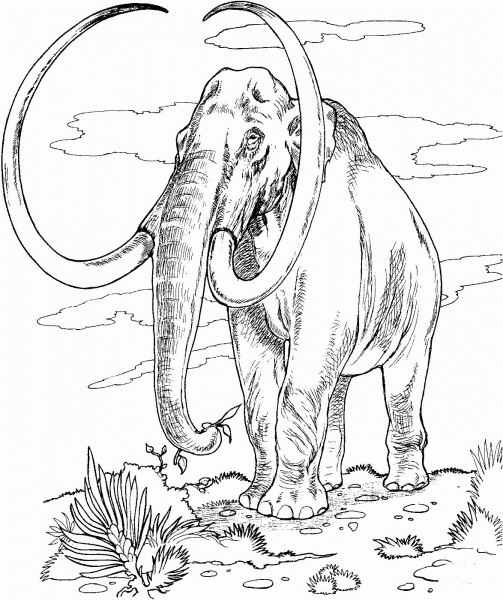 Mammoth coloring page image
