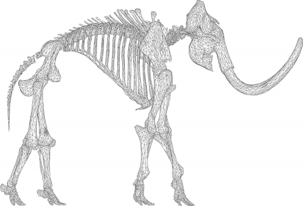 Mammoth Skeleton 3D Wireframe coloring page image
