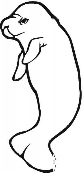 Manatee  coloring page image