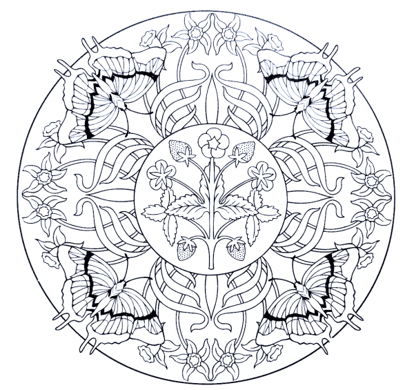 Mandala with Butterflies and Strawberry coloring page image