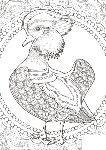 Mandarin Duck Zentagle coloring page image