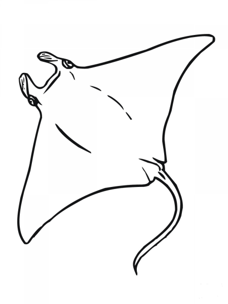 Manta coloring page image