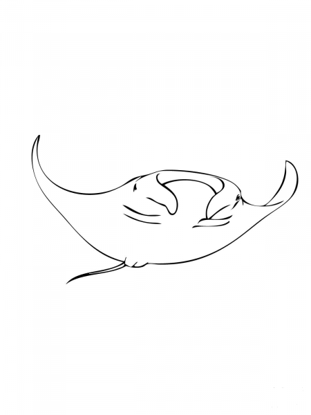 Manta Ray coloring page image