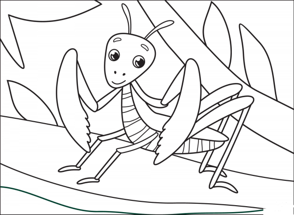 Mantis coloring page image