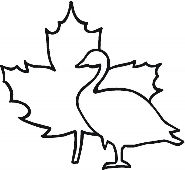 Maple Leaf And Goose  coloring page image