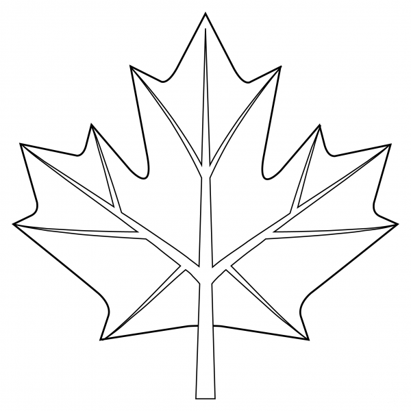 Maple Leaf coloring page image