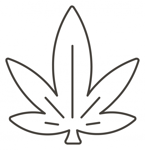 Maple Leaf coloring page image