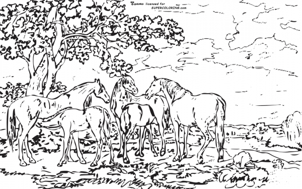 Mares And Foals In A River Landscape By George Stubbs  coloring page image
