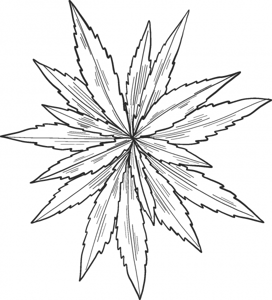 Marijuana coloring page image