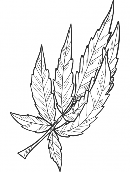 Marijuana coloring page image