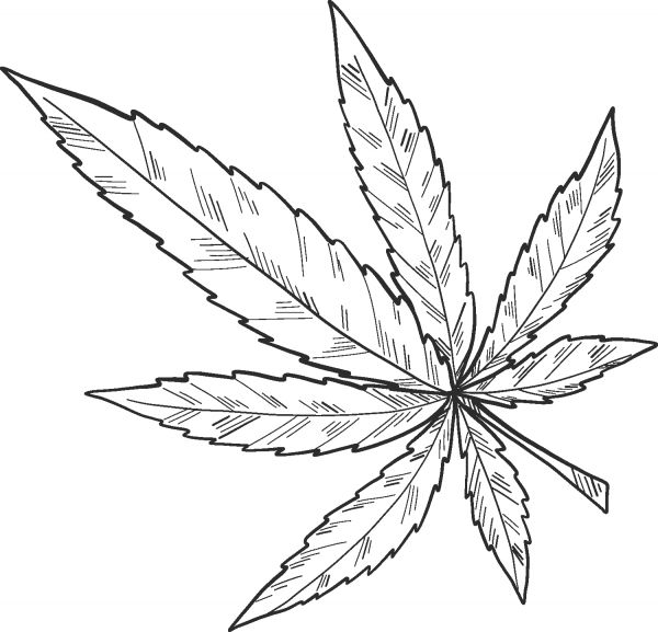 Marijuana coloring page image