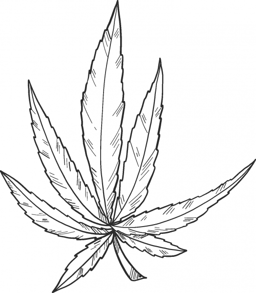 Marijuana coloring page image
