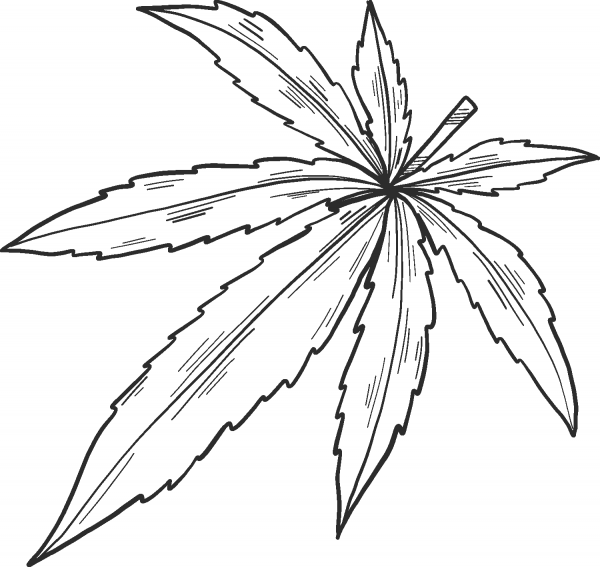 Marijuana coloring page image