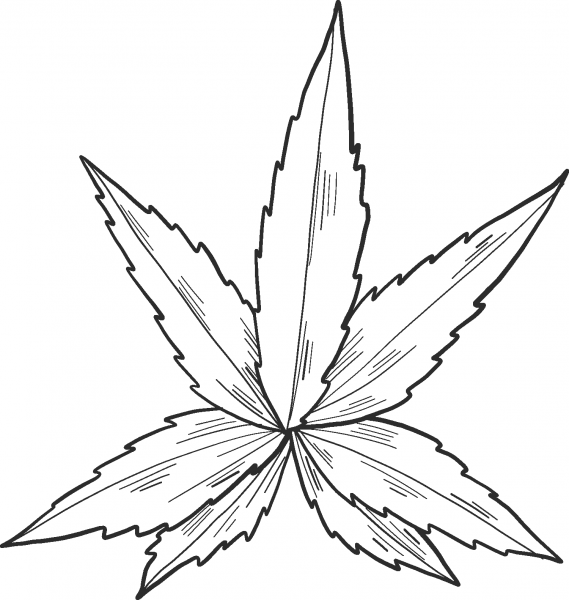 Marijuana coloring page image