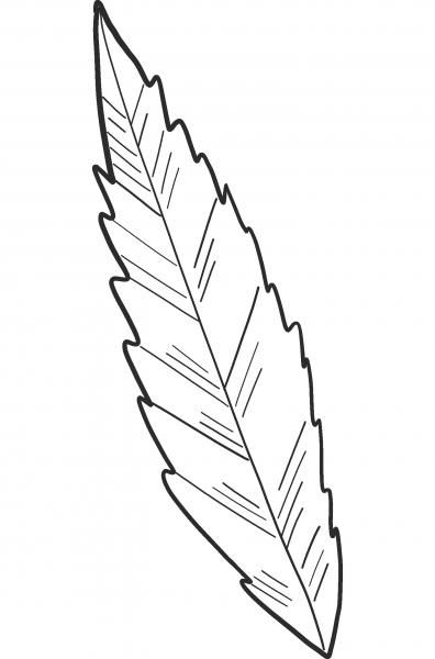 Marijuana Leaf coloring page image