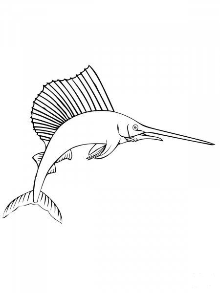 Marlin coloring page image
