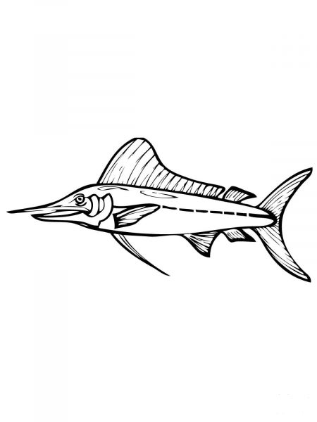 Marlin Fish coloring page image