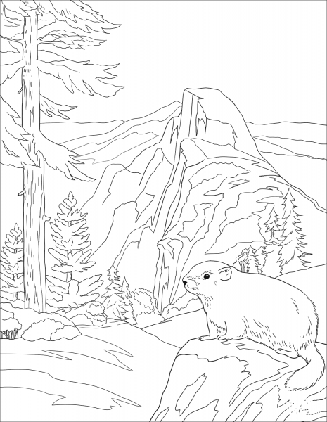 Marmot coloring page image