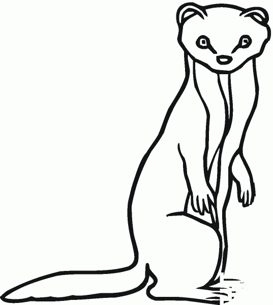 Marten 1 coloring page image