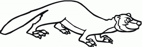 Marten 2 coloring page image