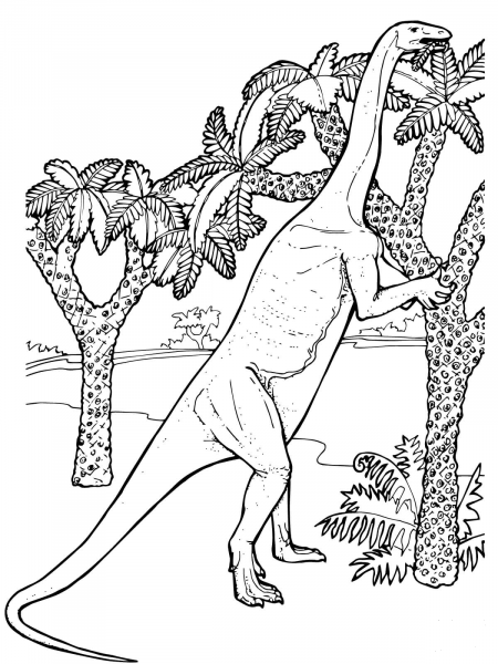 Massospondylus Prosauropod Jurassic Dinosaur coloring page image