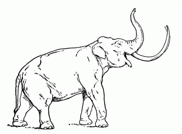 Mastodon coloring page image