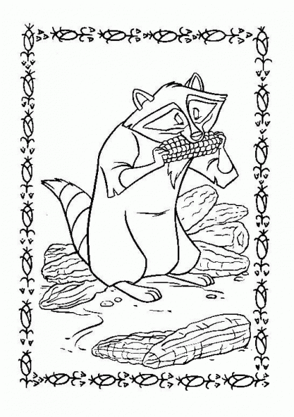 Meeko  coloring page image