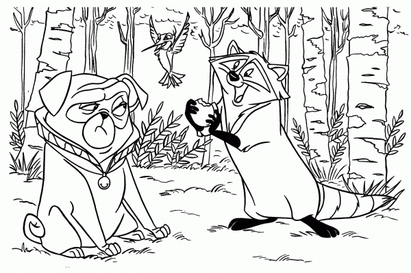 Meeko With Dog  coloring page image