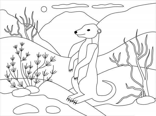 Meerkat coloring page image