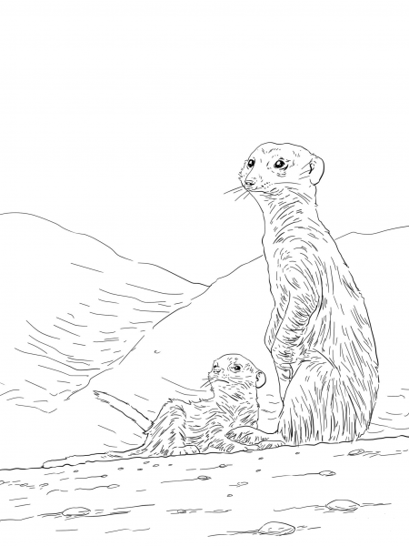 Meerkat Mother with Pup coloring page image