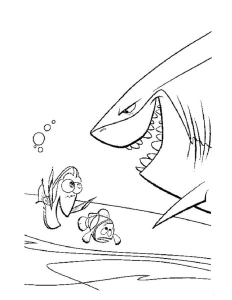Meet The Shark Bruce coloring page image