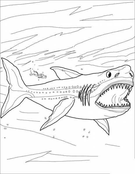 Megalodon Shark coloring page image