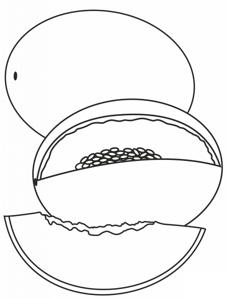 Melon coloring page image