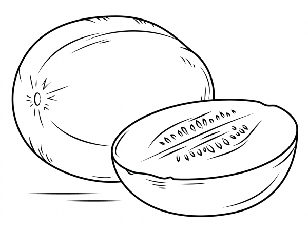 Melon coloring page image