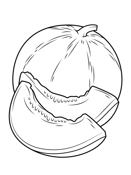 Melon coloring page image