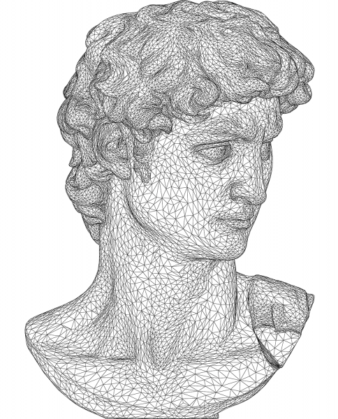 Michelangelos David Bust 3D Wireframe coloring page image