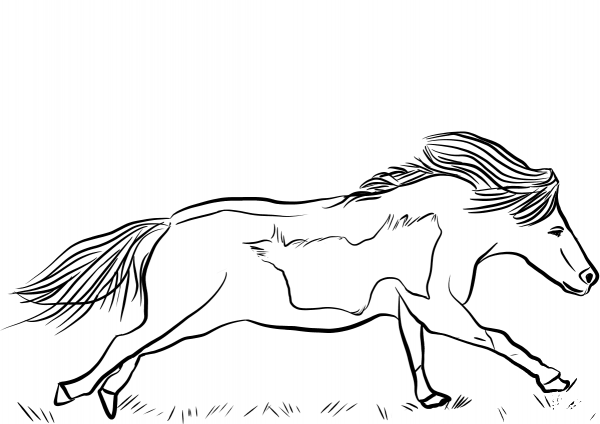 Miniature Horse Runs coloring page image