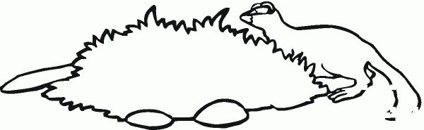Mink 2 coloring page image
